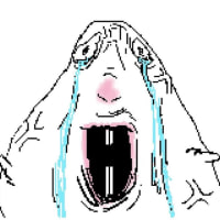 무작위 총력전 유저 특)