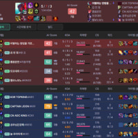 문철하자고 했던 조이 어디로 도망갔냐