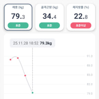 키빼몸 100 달성!