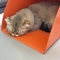 무엇 하나 과하면 좋은게 없구나