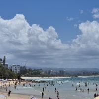 본인 브리즈번 근황