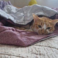 옵붕이들 싹다 뒤짐?