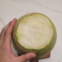 옵붕이 코코넛 샀다