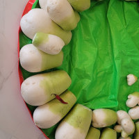 이걸 다 자르라고? 무.리.무.리.