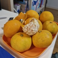 아 방금 양치했었지