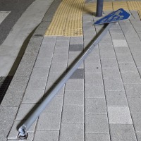 디오랑 죠타로랑 싸우고 갔나?