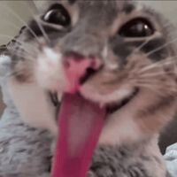 치명타뎀 두배로 바뀐다던데