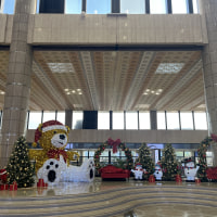 옵부이 공항이댜