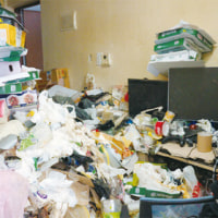 내년 데마시아 패치로 인한 흡연충들 방상태