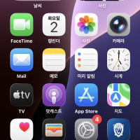 2025년 한 해 돌아보기?