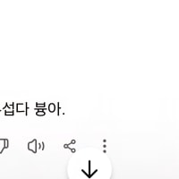 이게 심심이가 아니라고?