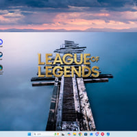 님들 롤 안들어가지는데 어케하나요