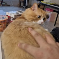 학원가는길에 커플봤는데 같은건물 가는거였음