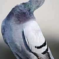 오늘 막막했는데 옵붕이들땜시 잘된듯