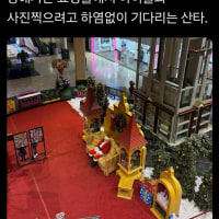 기분이 묘해지는짤