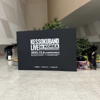 옵부이 결속밴드 내한 다녀왓댜