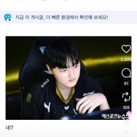 옵지 인스타 입갤