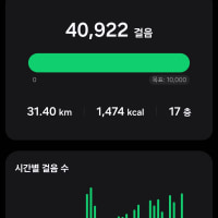 일본여행 2일차 결산