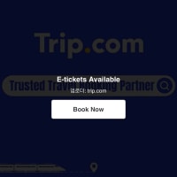 오피지지 이 미친놈들 이거 정상화 안 함??