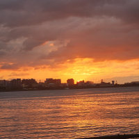 지나가다가 캐서디 봣다