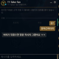 페이커 팬닉 달고 패드립하고 그러지 말자