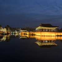 옵붕 또 놀러갓다요