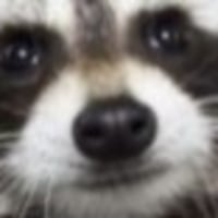 대학 발표가 1시간 남았다는 거에요