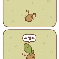 이건 또 뭔짤이야ㅋㅋㅋ