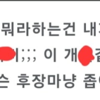 문의 이렇게 쓰려다 참음