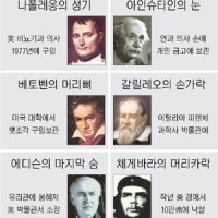 의외로 인기있는 위인들의 신체