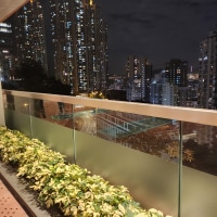 대학교 야경고트