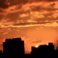 여기 노을 개이쁨