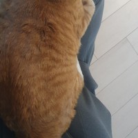 모닝게임할려는데