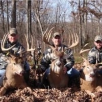 후방주의)서양 왕사슴 가이즈