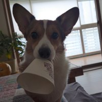 (댕댕이) "어이"