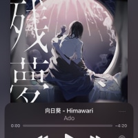 님들 그거 알고 계신가요?