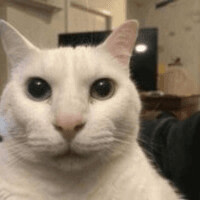 확실히 좀 우울하니까 사람이 표독해지네