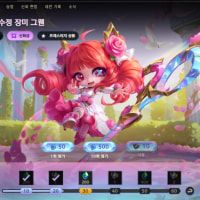 총알은 충분한가 ?