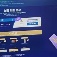 라이엇 개색기들