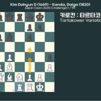 체스 졸라 어렵네