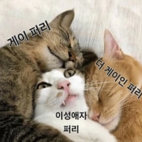 우리장르에서 이성애자는 성소수자에요