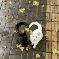 잘자콘 먼저단사람 선착순 뽀뽀