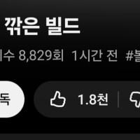 9개월 만에 영상을 업로드한 유튜버