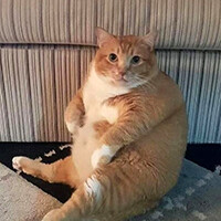 오늘은 하체하는 날