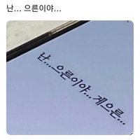 난 비로소 완벽한 으른이 된다