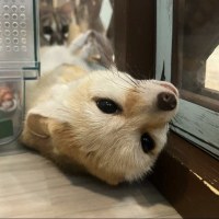 11시인데 글젠 이거 맞냐