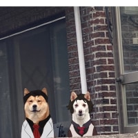 옆에 애가 연구실적 다 뺏어먹나봄