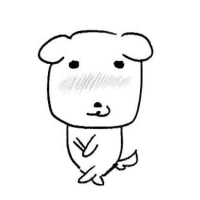 카이사 코스프레 옷만 입어봣어 ~