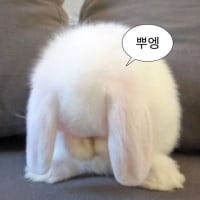 으앙~~~난 바보야!!!