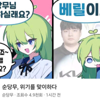 모르는 사람 : 와 베릴이랑 순당무 맞라인전하네 ㄷㄷ